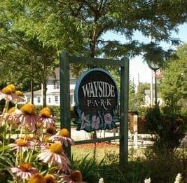 Woodland Design is in the process of preparing a Site Assessment and Plan of Wayside Park in Waymart, PA.